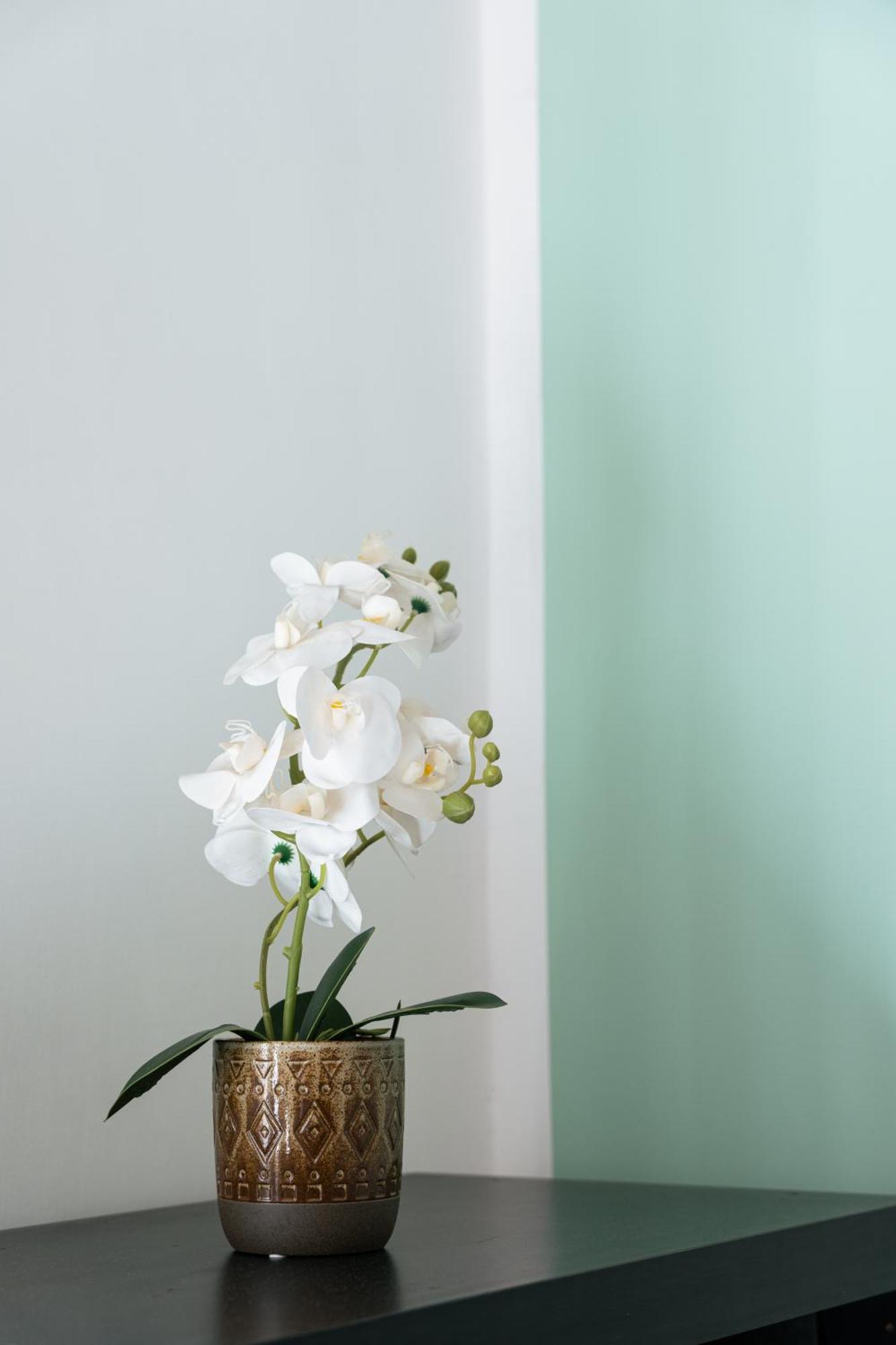 Urban Nest Apartment Rome Bagian luar foto